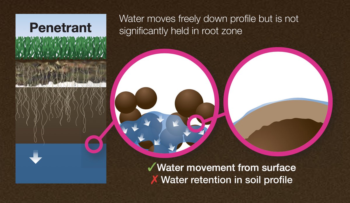 Syngenta Turf South Africa tweet media