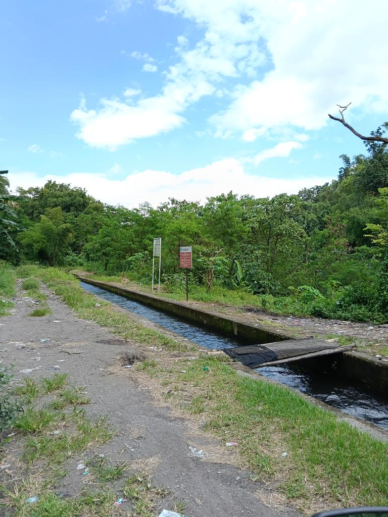 anything tweet media