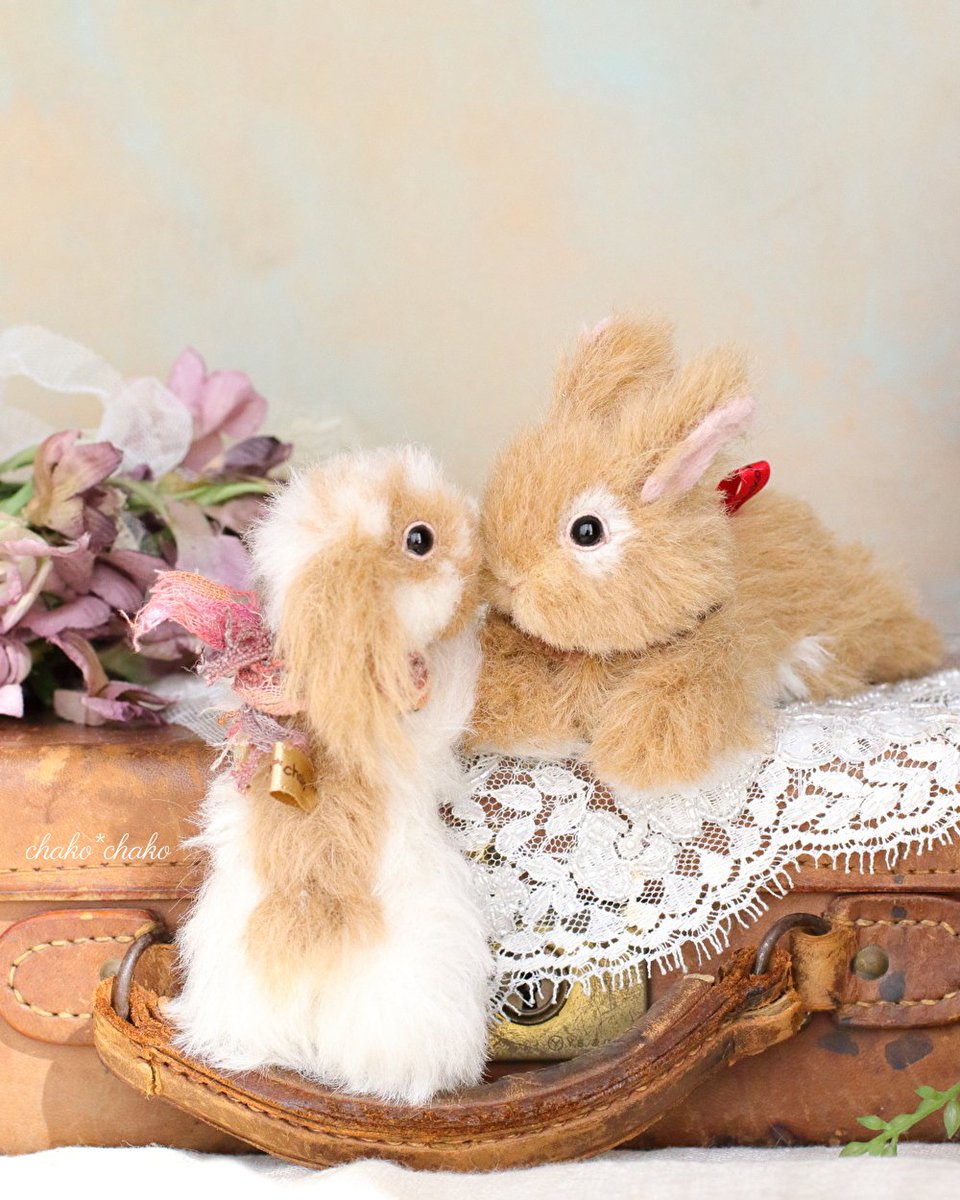 さきほど、
ちゃすけ店長の通販企画のうさぎさんたちを
送り出してきました🐰
(通知送らせていただいております。
届いていない場合はお知らせください🙏)

ドキドキしながら
お家に向かっている頃だと思います♡
お出迎えよろしくお願いします💕