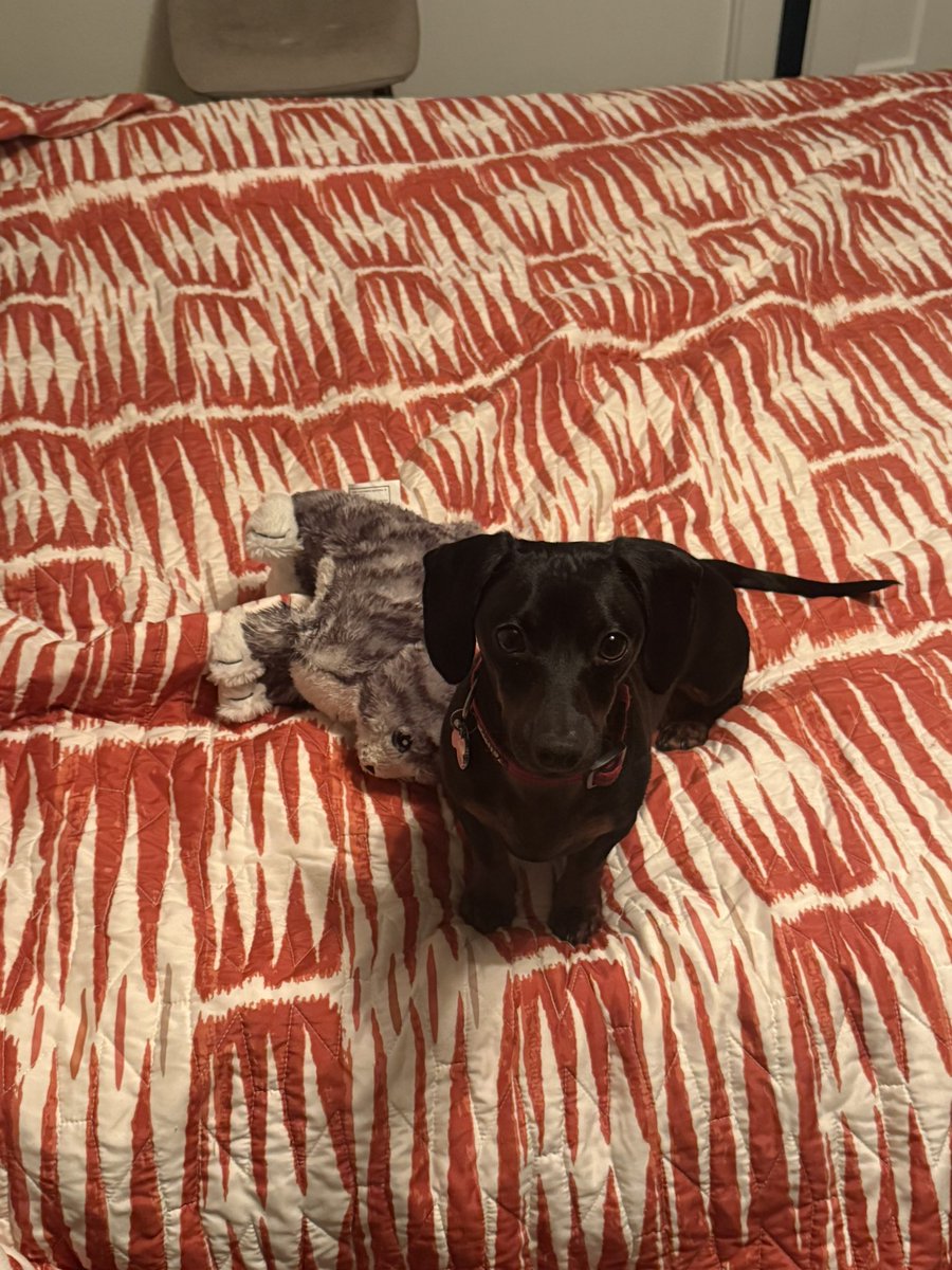 Keith Orejel tweet media