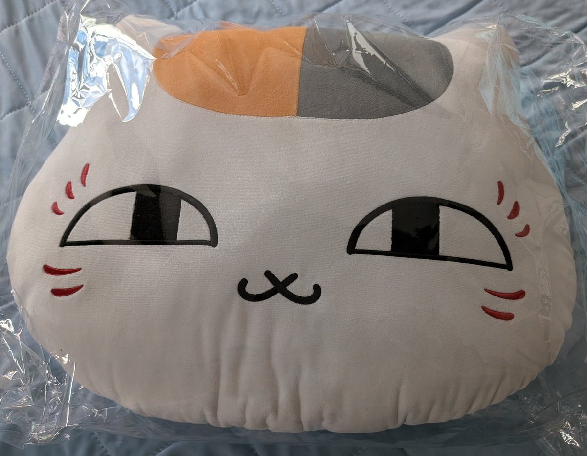 にゃこ先生のティッシュケースが再発売して見つけた日から5日経過し