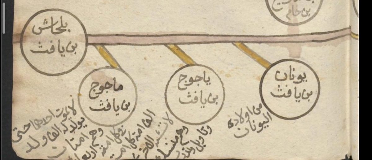 صدى الأجداد tweet media