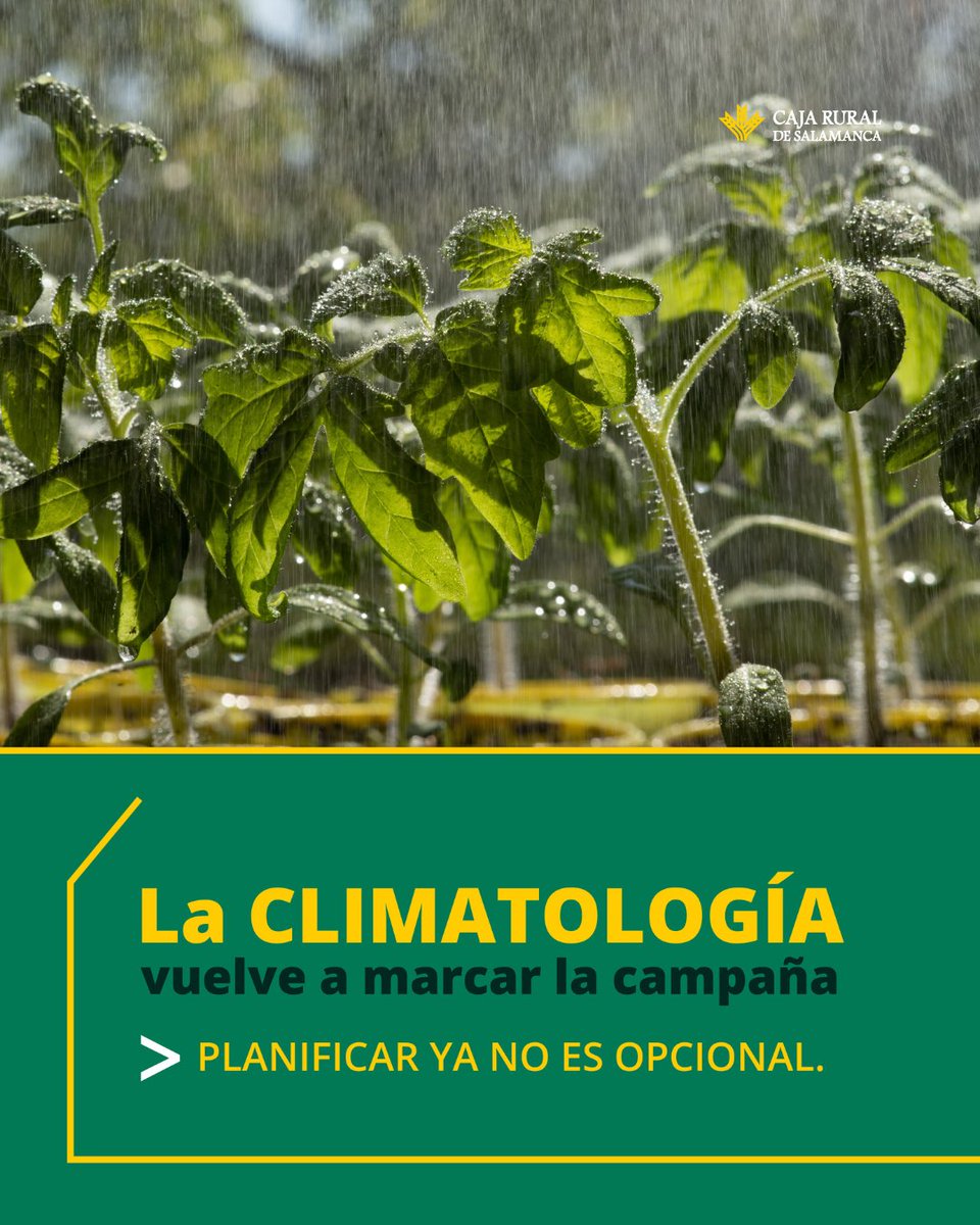 Caja Rural de Salamanca tweet media
