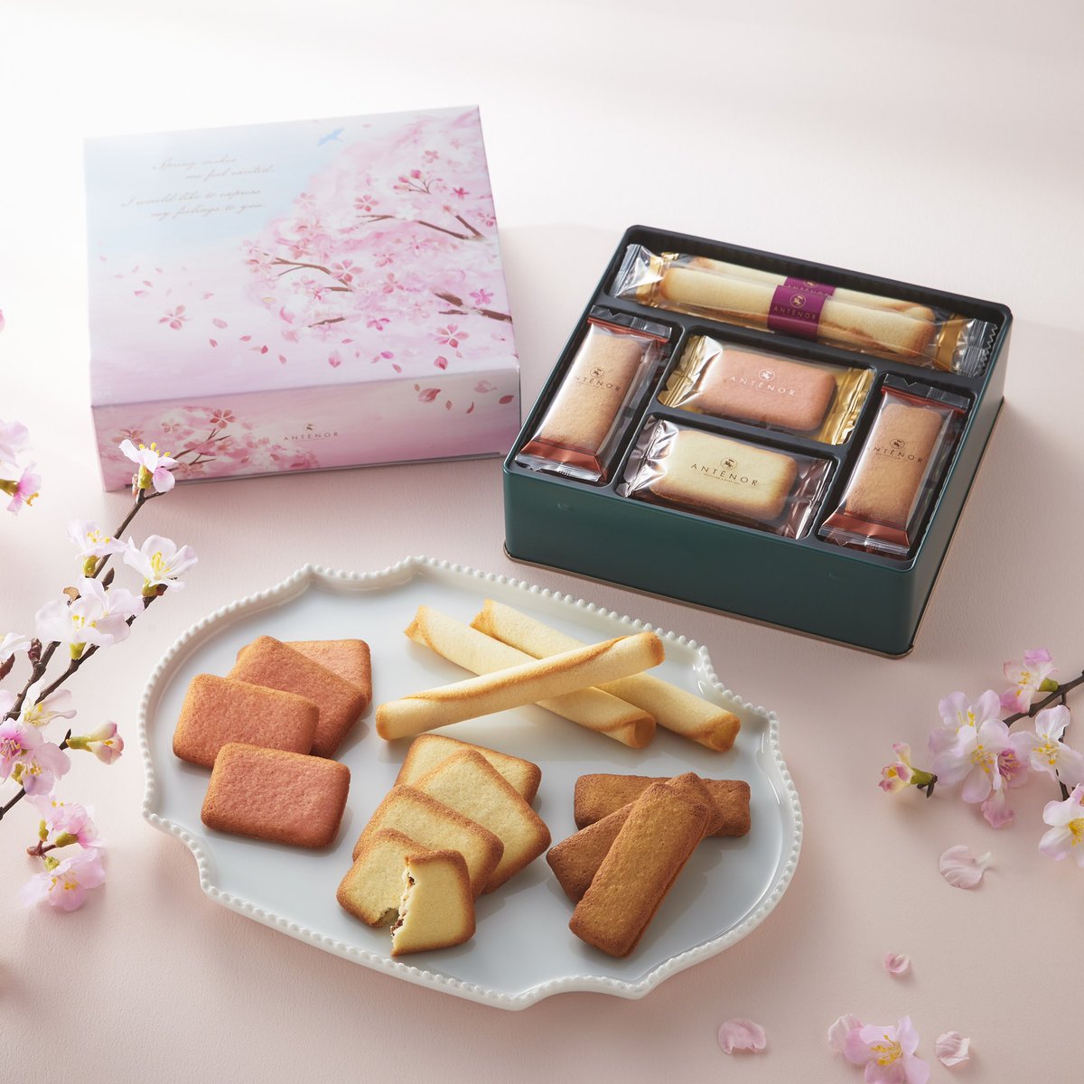 🌸春のお祝いギフト🌸 入学のお祝いや卒業の旅立ちに 華やかな桜を描い