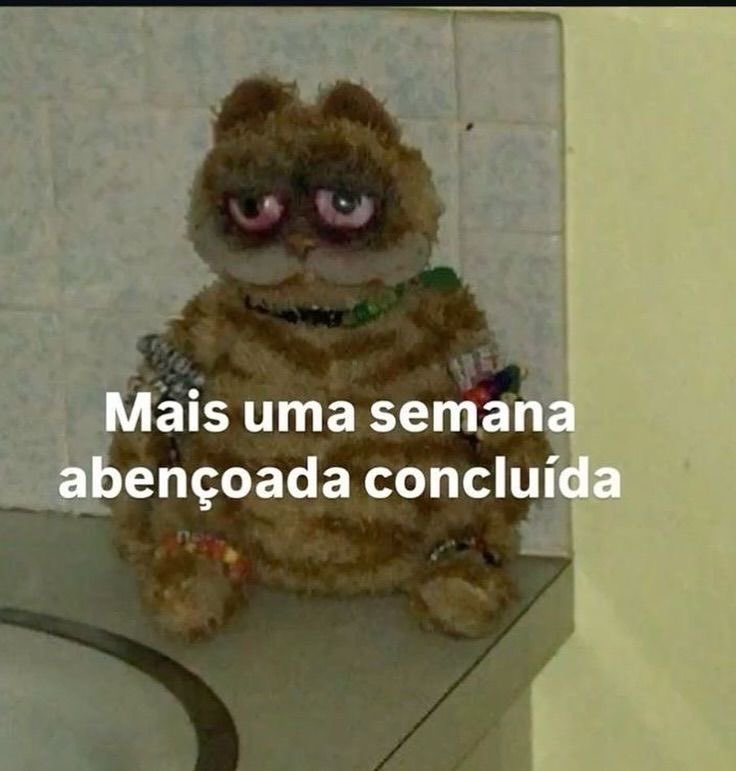 bruninha tweet media