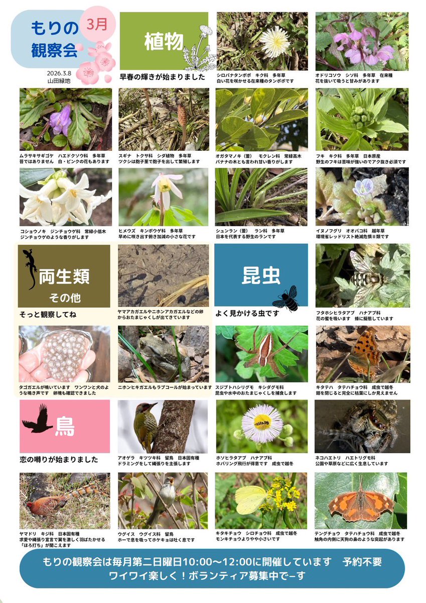 花空さま専用（原画）秋夜の森の祝福 #3　ほか　3点おまとめ 春が来た！／ 🌸もりの観察会（3月）🌸 春の花が咲きはじめ、森の