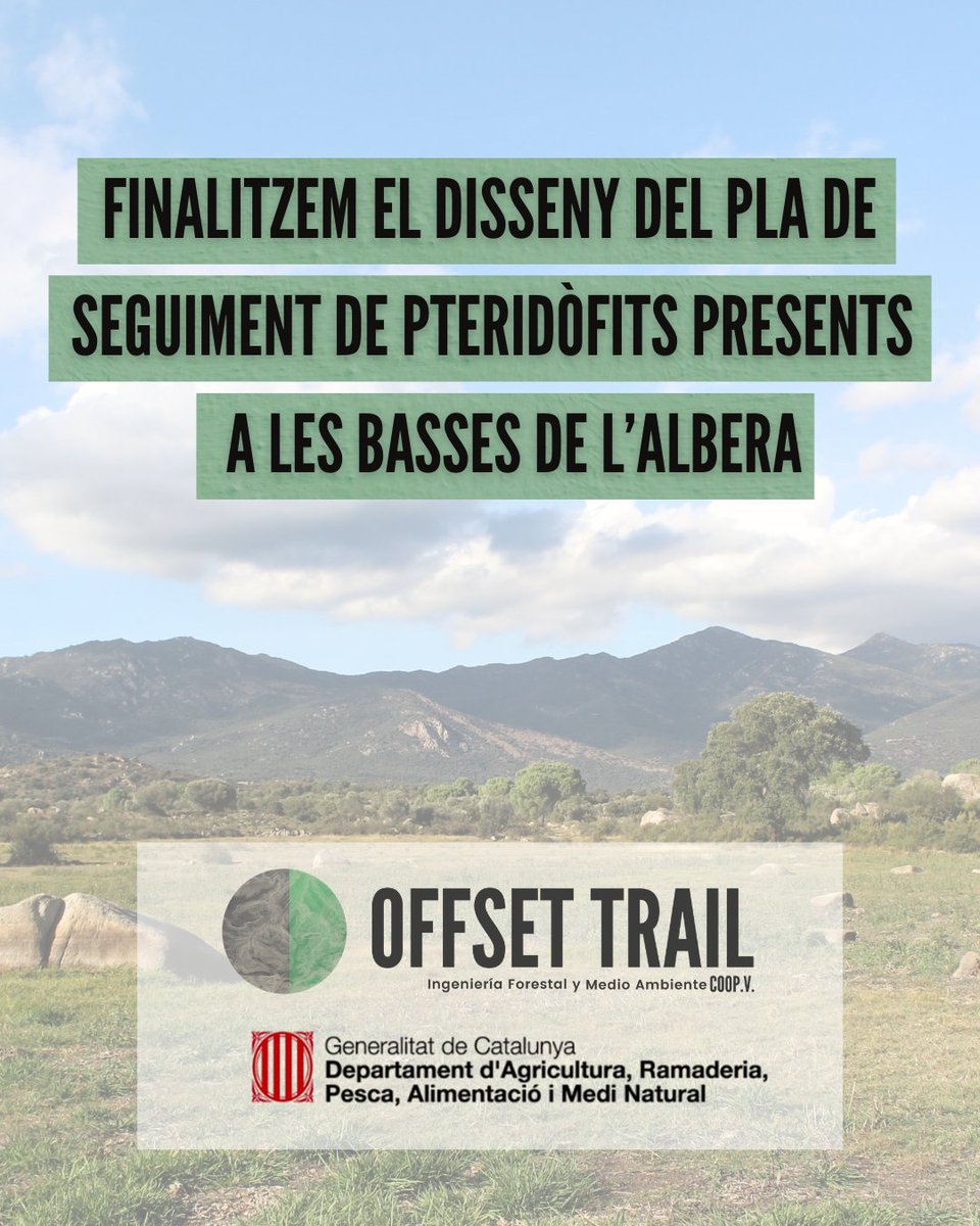 OFFSET TRAIL COOP.V tweet media