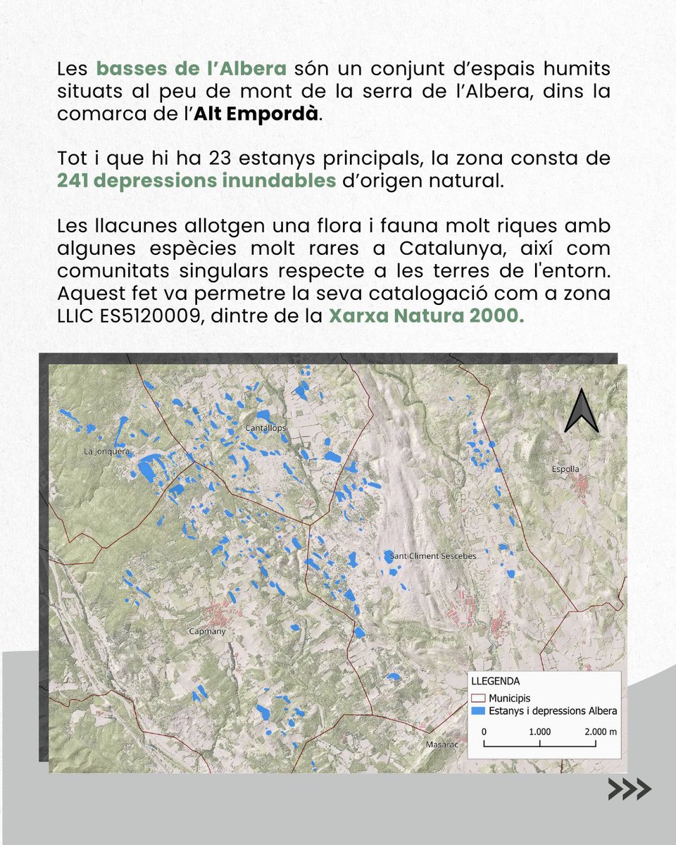 OFFSET TRAIL COOP.V tweet media