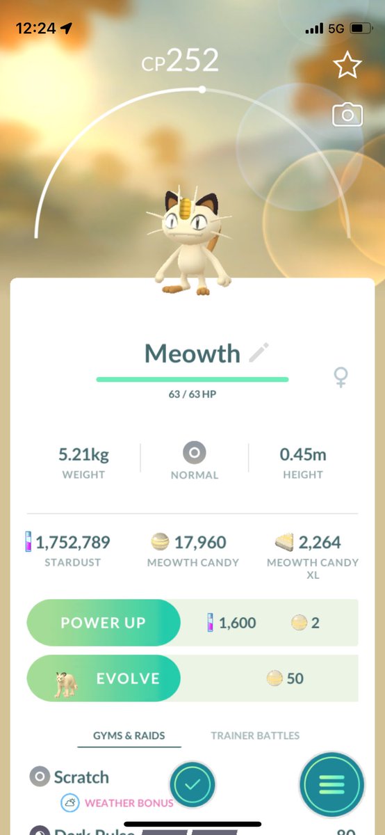 JohnPatrick_101's tweet image. #Meowth #NormalTypePokemon #PokemonGoAustralia #PokemonGo #CombatPower #MeowthCP252 #PokemonGoApp #Pokemon @PokemonGoNews