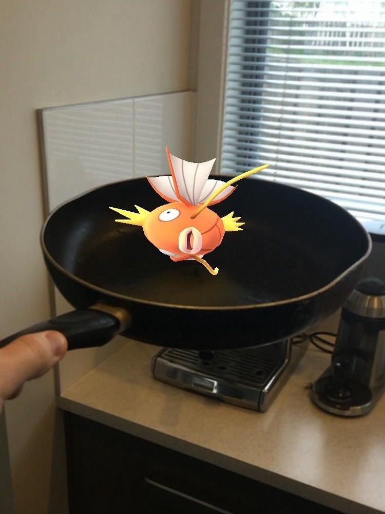 Bad Bunnz tweet media