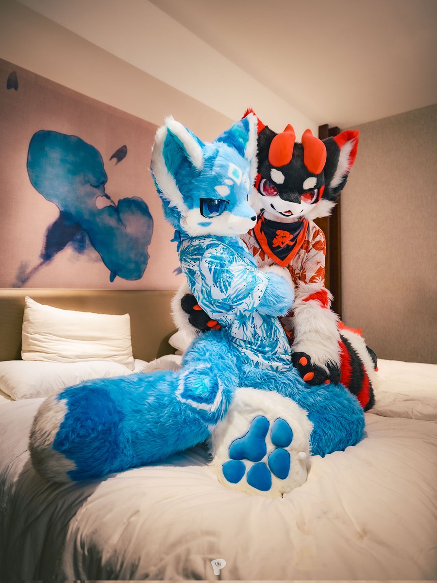 黑小焱 tweet media