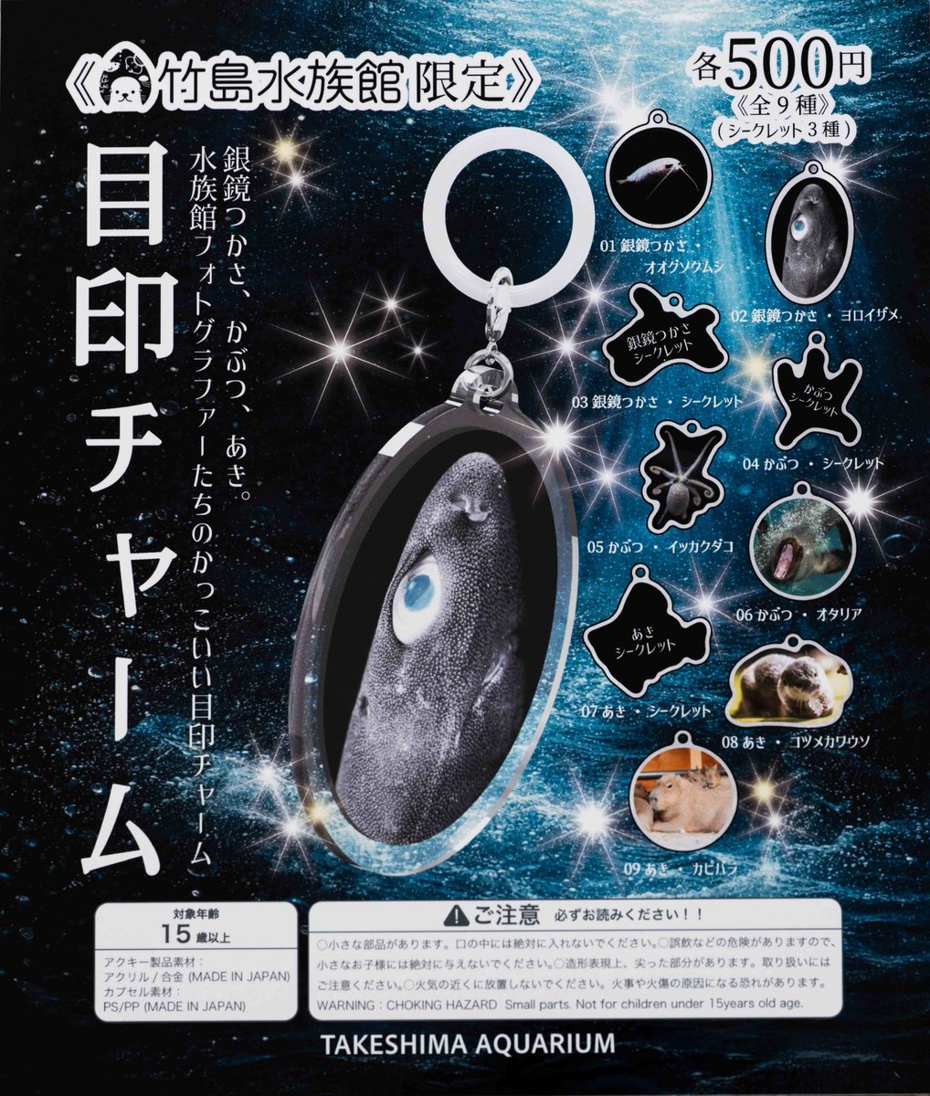双魚 純銀 置物？ 明日からついにタケスイで「撮展」が始まります。銀鏡つかささん、か