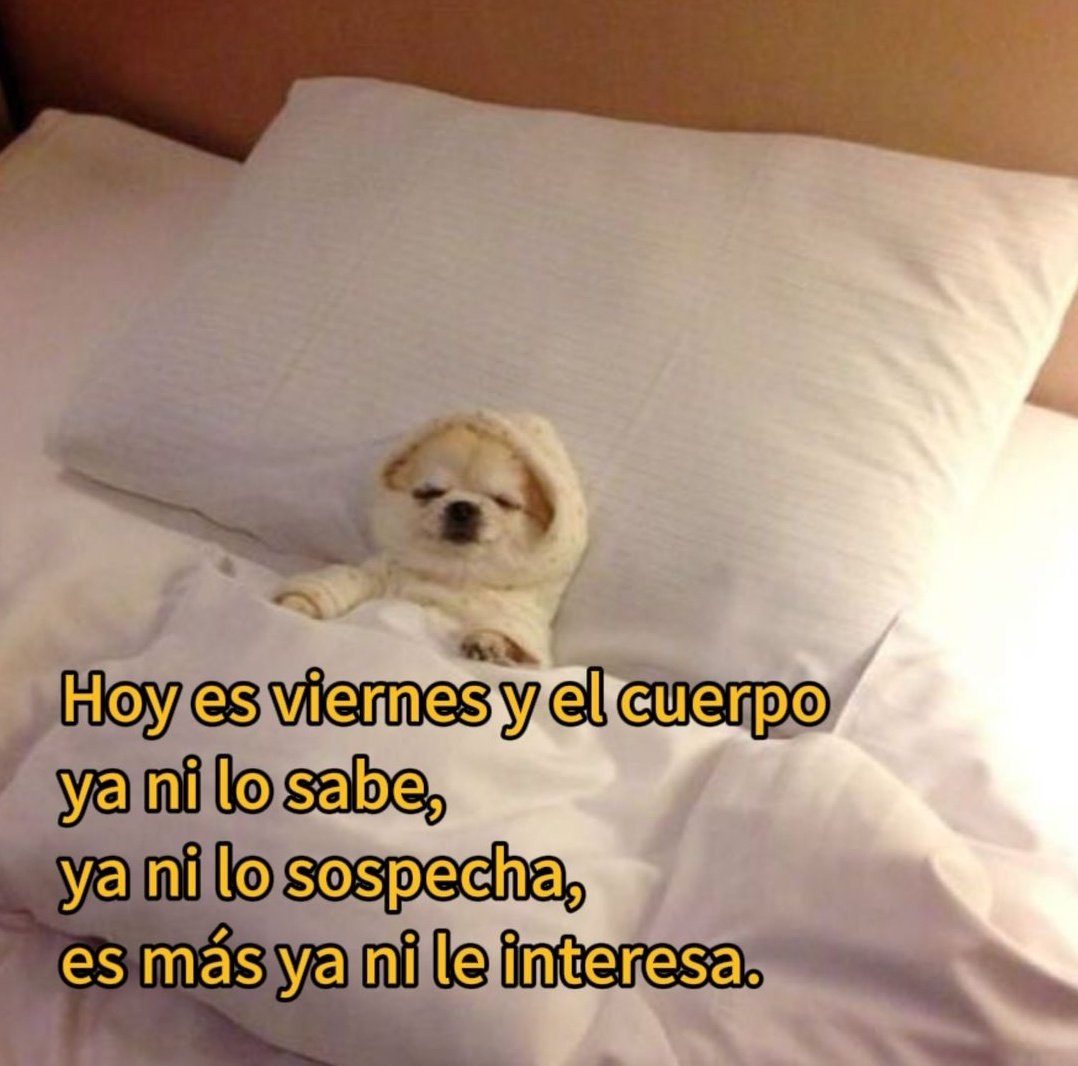 En Júpiter (@en_jupiter_) on Twitter photo 