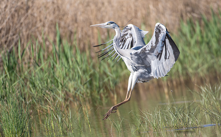 Medio Ambiente UPV tweet media