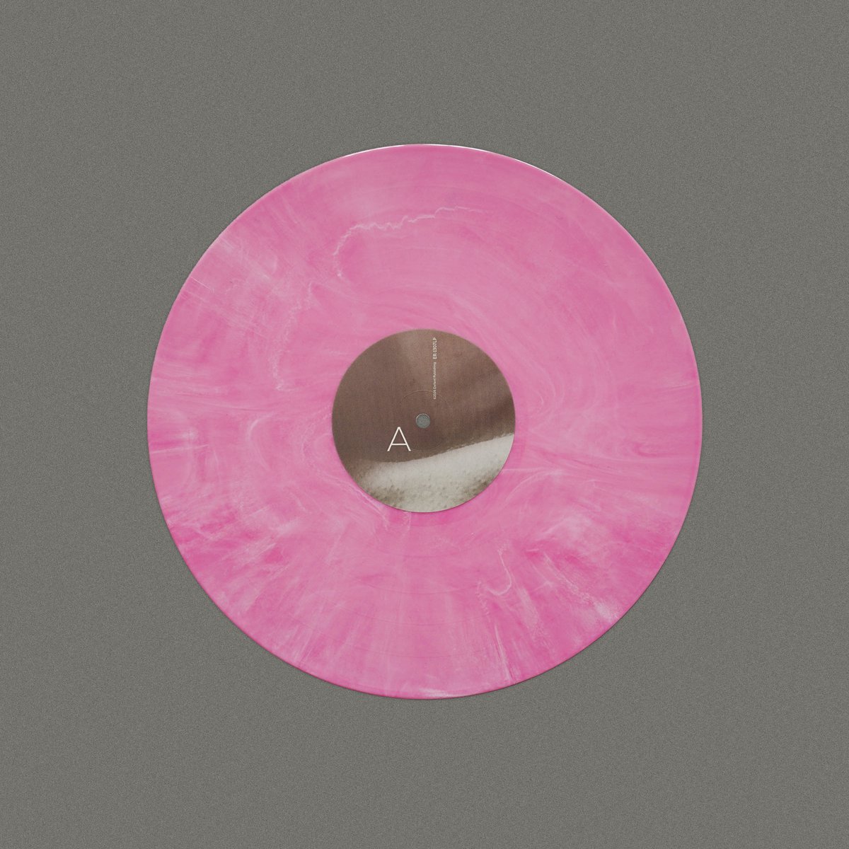 Elefant Records tweet media