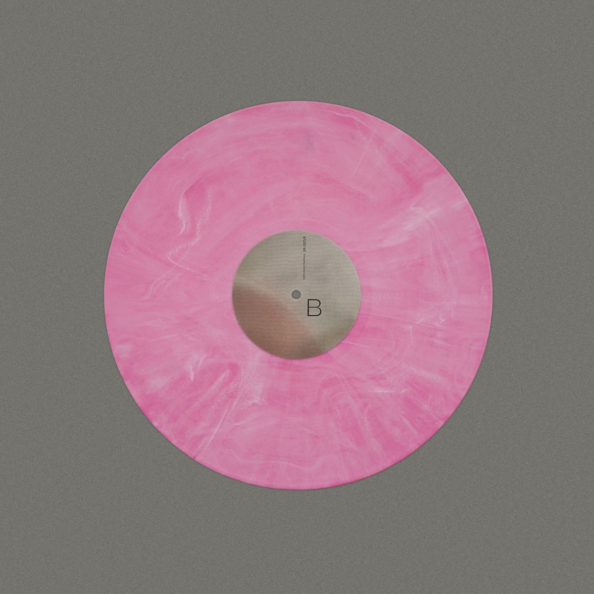 Elefant Records tweet media