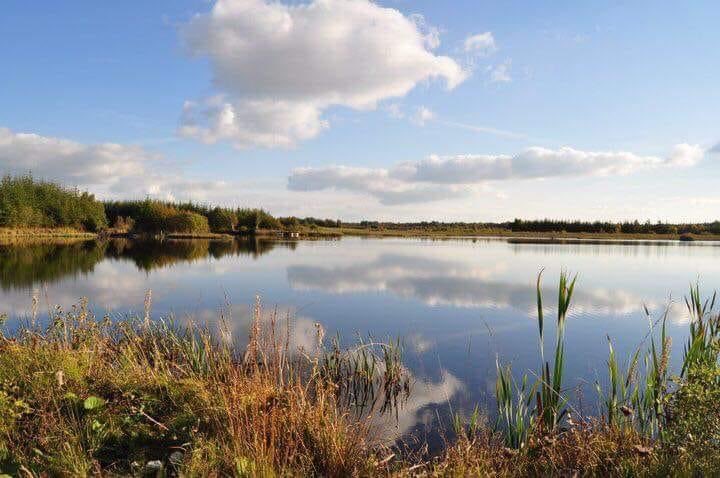 IrelandTrails's tweet photo. Derryounce lakes and trails Portarlington C. Offaly.  @visitoffaly @Offaly @DiscoverIreland #Portarlington y https://t.co/w0LZIfeEFZ