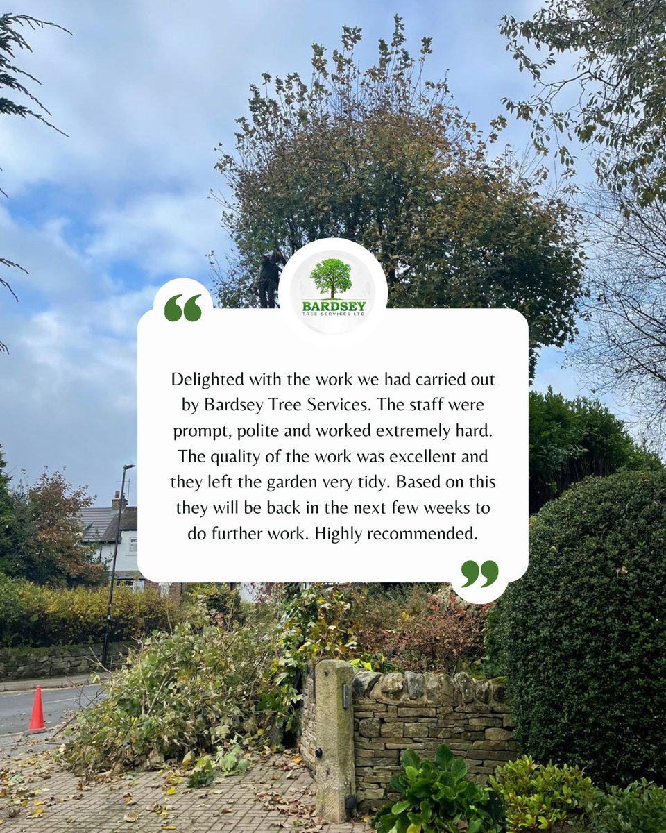 Bardsey Tree Services tweet media