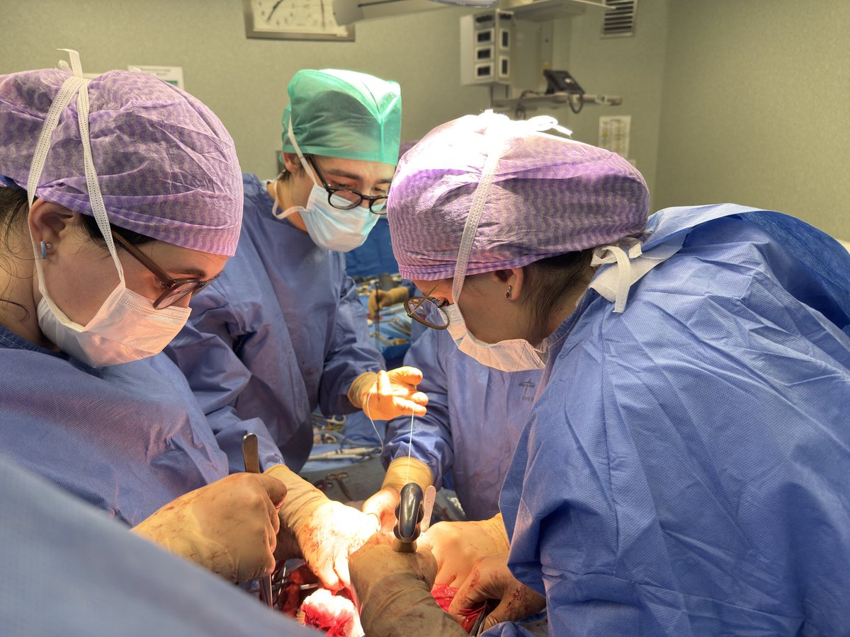 Pancreas Verona tweet media