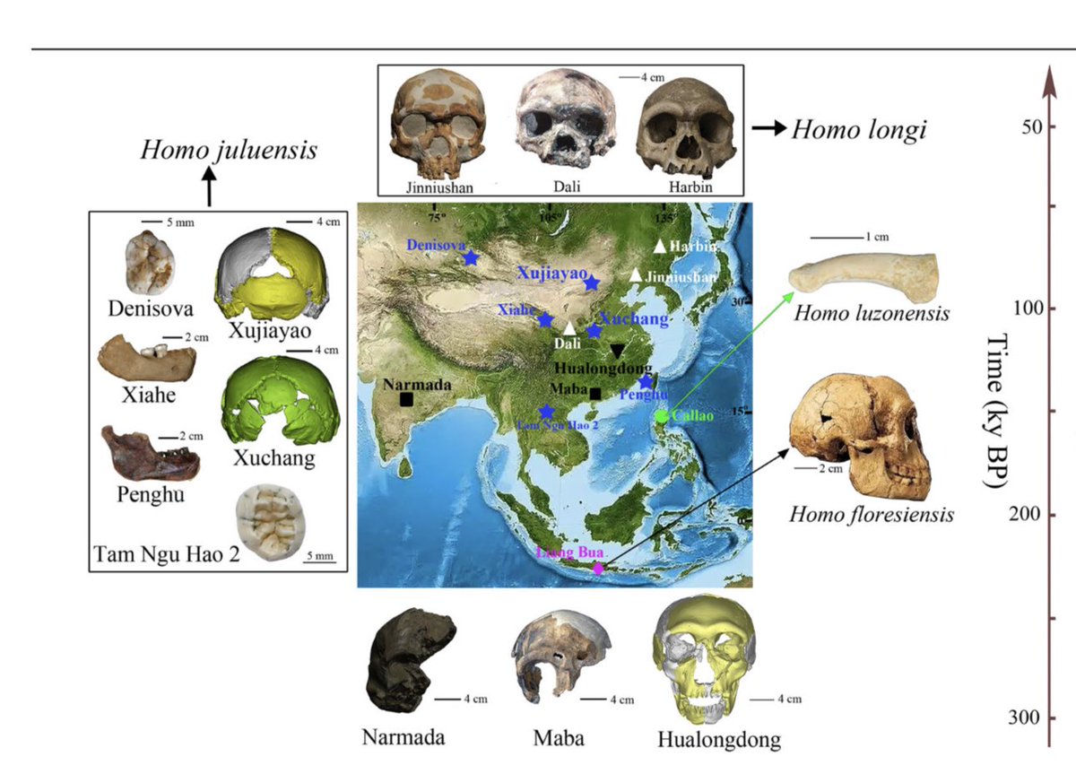Nilesh Nilkanth Oak निलेश ओक tweet media