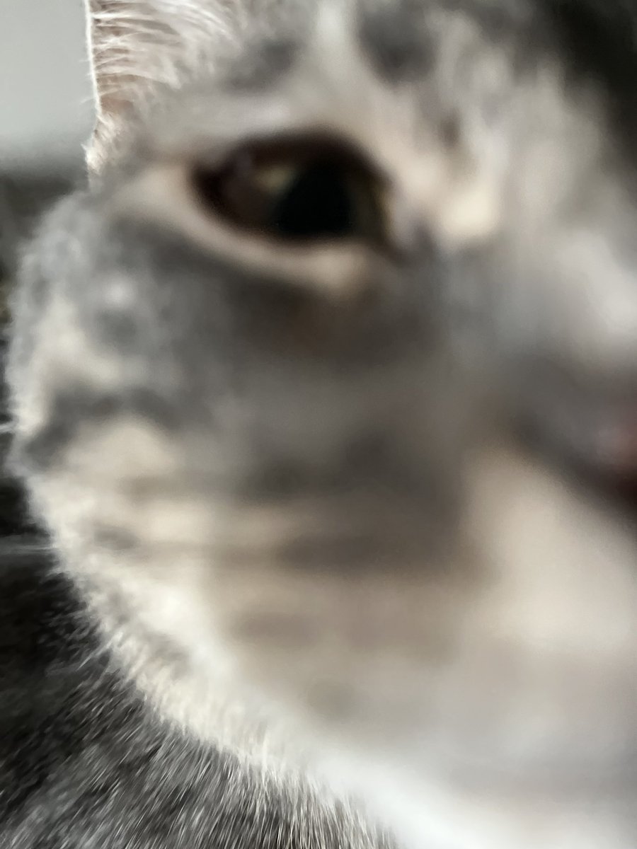 BeakerBird tweet media