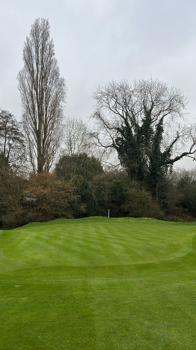 Chris Low tweet media