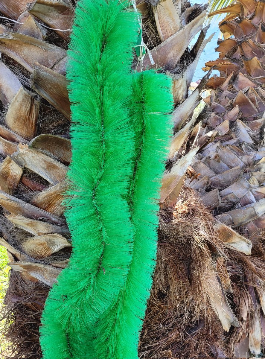 everything reminds me of him