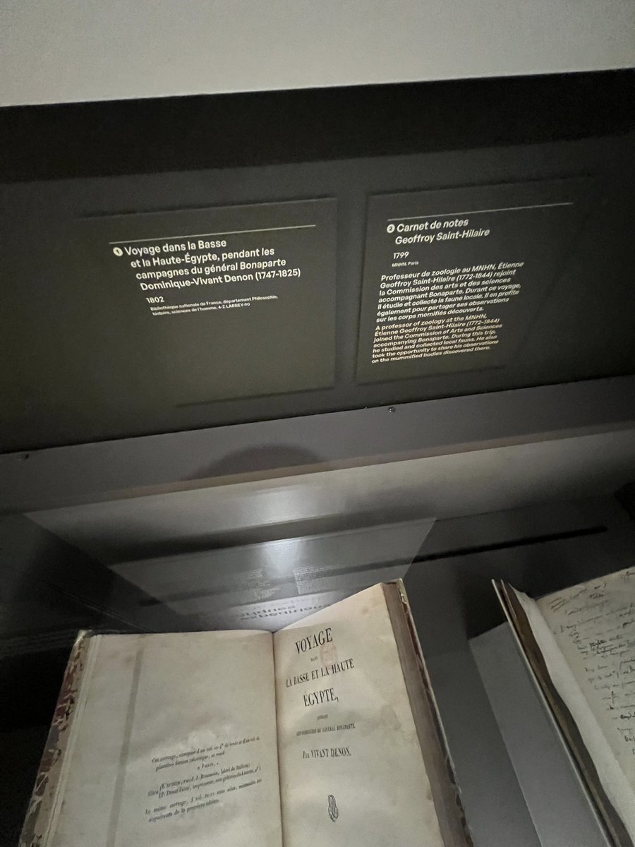 パリの人類博物館 ミイラ展 書籍も展示してありました。 エジプト