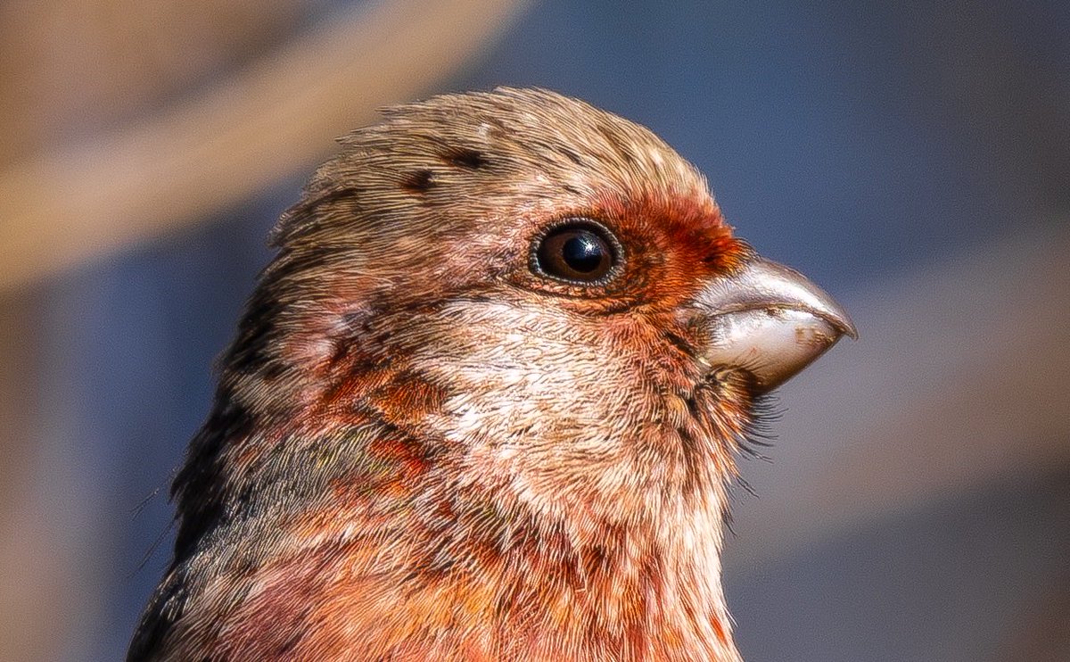 unitarou@ tweet media