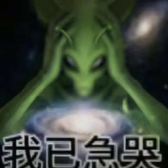 猫猫神 tweet media