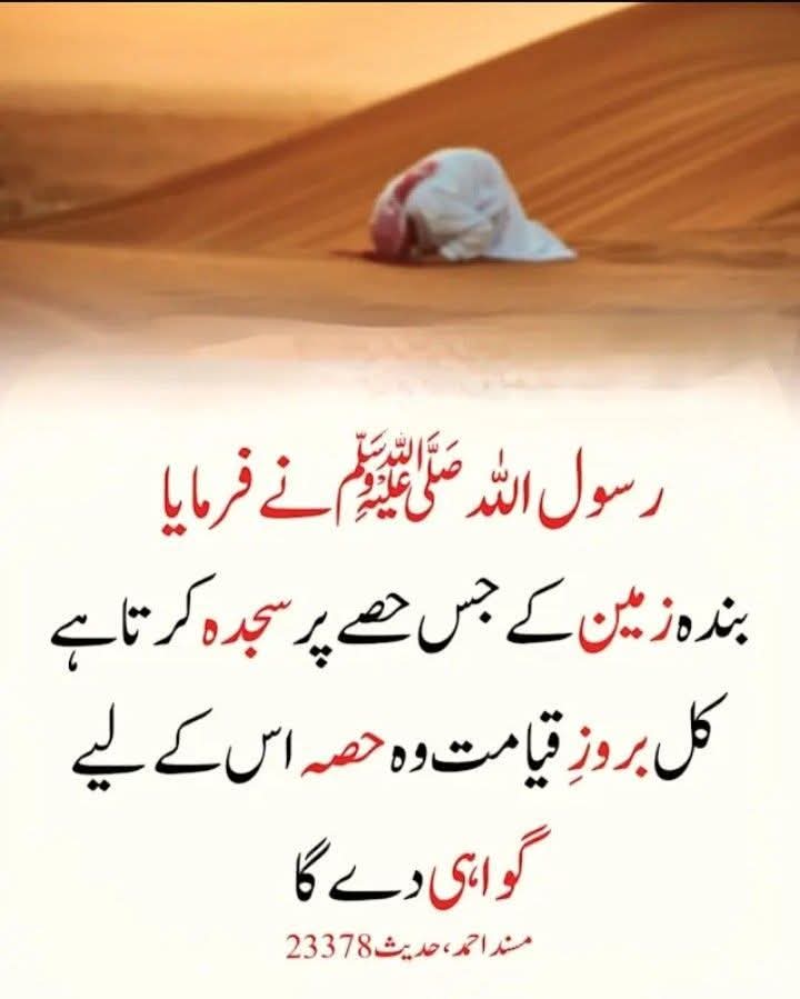 mahwishzafar7's tweet photo. نبی کریم ﷺ نے فرمایا 🌼🍂♥️ https://t.co/fIBP7Oekk0