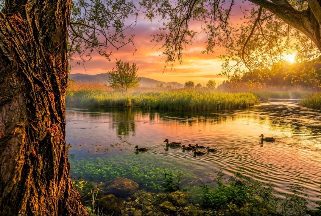 👋💯👋💯👋

Gain time ⏳ ⚡  ✅️  🏆

friday  list   1    👈

<a href="/PstRejoice/">Rejoice Edosomwan</a>
<a href="/foodivylin/">Foodivy Lin</a>
<a href="/Lelio_Gomes2/">Lélio Gomes 🇧🇷🇮🇱🇺🇸🇦🇷</a>
<a href="/nihatoney/">Nihat ÖNEY🇹🇷</a>
<a href="/_Souvy/">Souvy</a>
<a href="/sumanpurbey11/">Suman kumar Purbey</a>
<a href="/sha36386/">Sandeep Sharma</a>
<a href="/TuncerBozkurt/">TUNCER BOZKURT</a>
<a href="/sachinagra5/">SACHIN YADAV</a>
<a href="/vickykalludi/">Vicky kalludi</a>
<a href="/TRclod/">Rose</a>
<a href="/Aloyreyn/">Alorey</a>
<a href="/narendrakr0391/">Narendra gurjar</a>
<a href="/VyomPallav/">Vyom Pallav 🇮🇳</a>
<a href="/Santosh795217/">Air Veteran Santosh Singh</a>
<a href="/Glsm21/">@Glsm</a>
<a href="/Badguy115826/">Badguy</a>