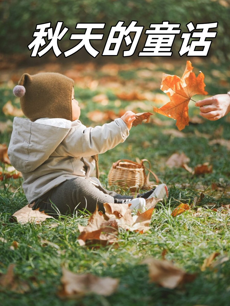 The Traucsirqt tweet media