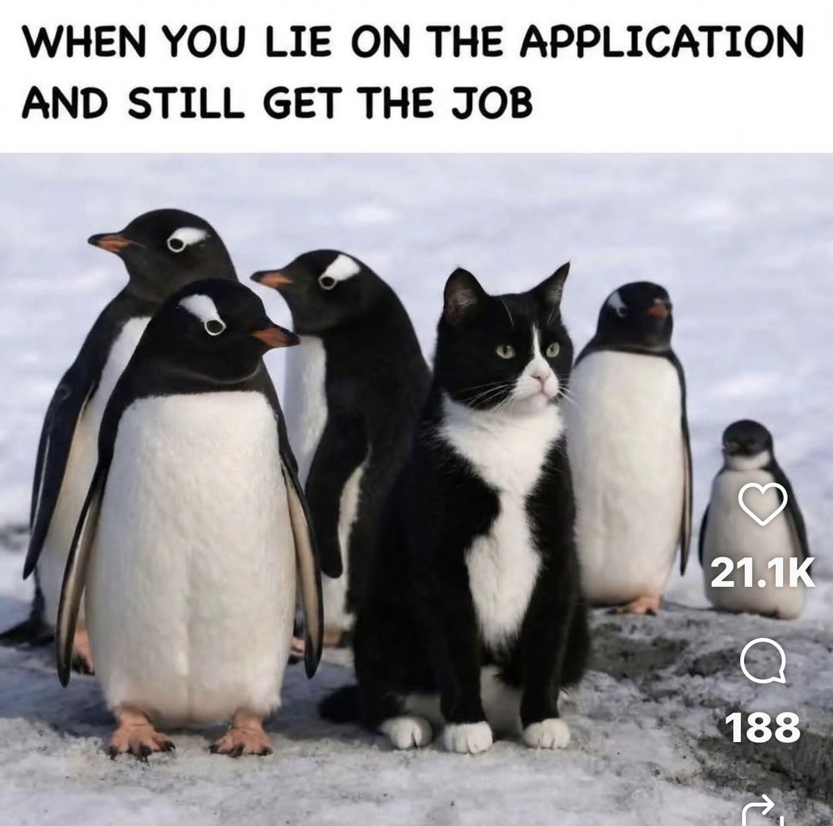 Deborah Mitchell tweet media