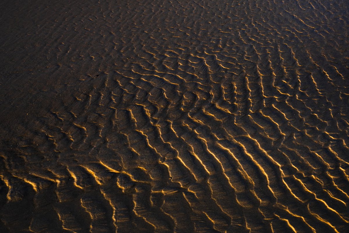 albertdrosphoto's tweet photo. Sunset light on the Dutch Coast https://t.co/lhBspxJ5oc