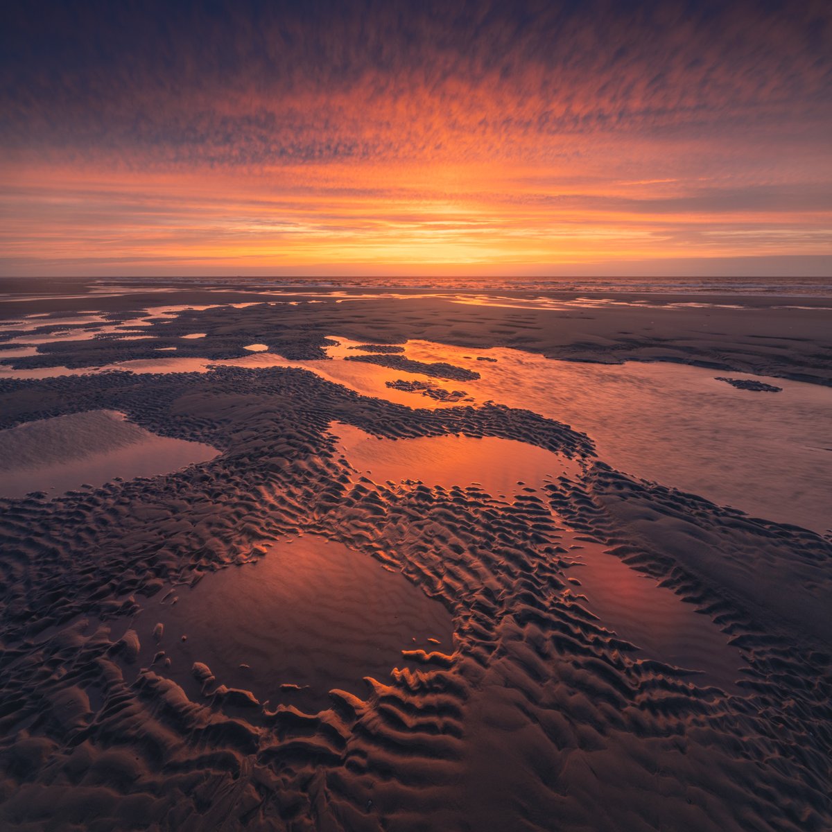 albertdrosphoto's tweet photo. Sunset light on the Dutch Coast https://t.co/lhBspxJ5oc