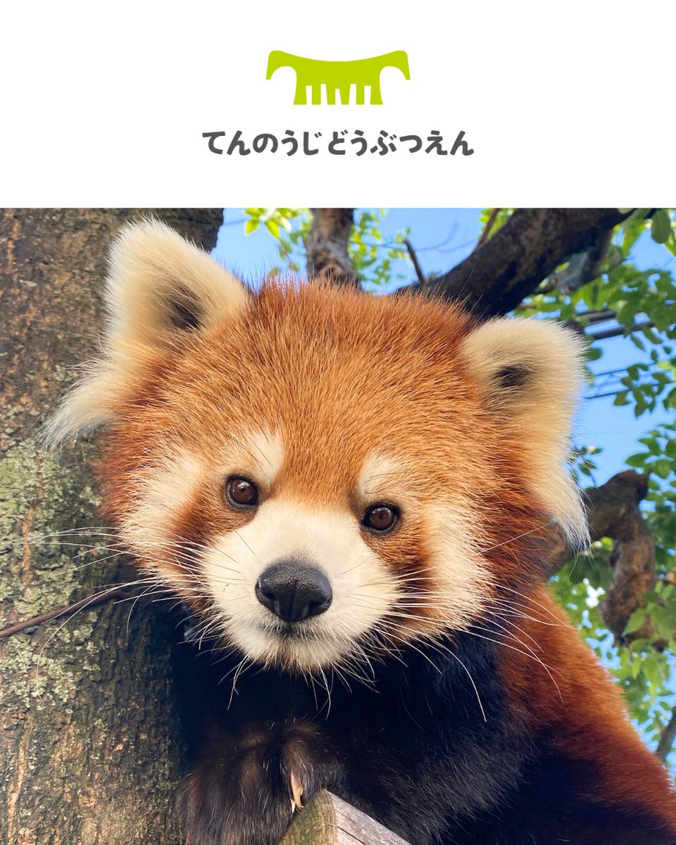 レゴランド・ディスカバリー・センター大阪【公式】 tweet media