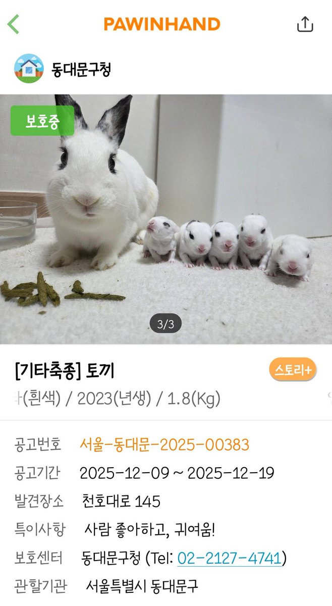 ari_Kim__'s tweet photo. 이런 미친..ㅠㅠ https://t.co/htSbwSTf6V