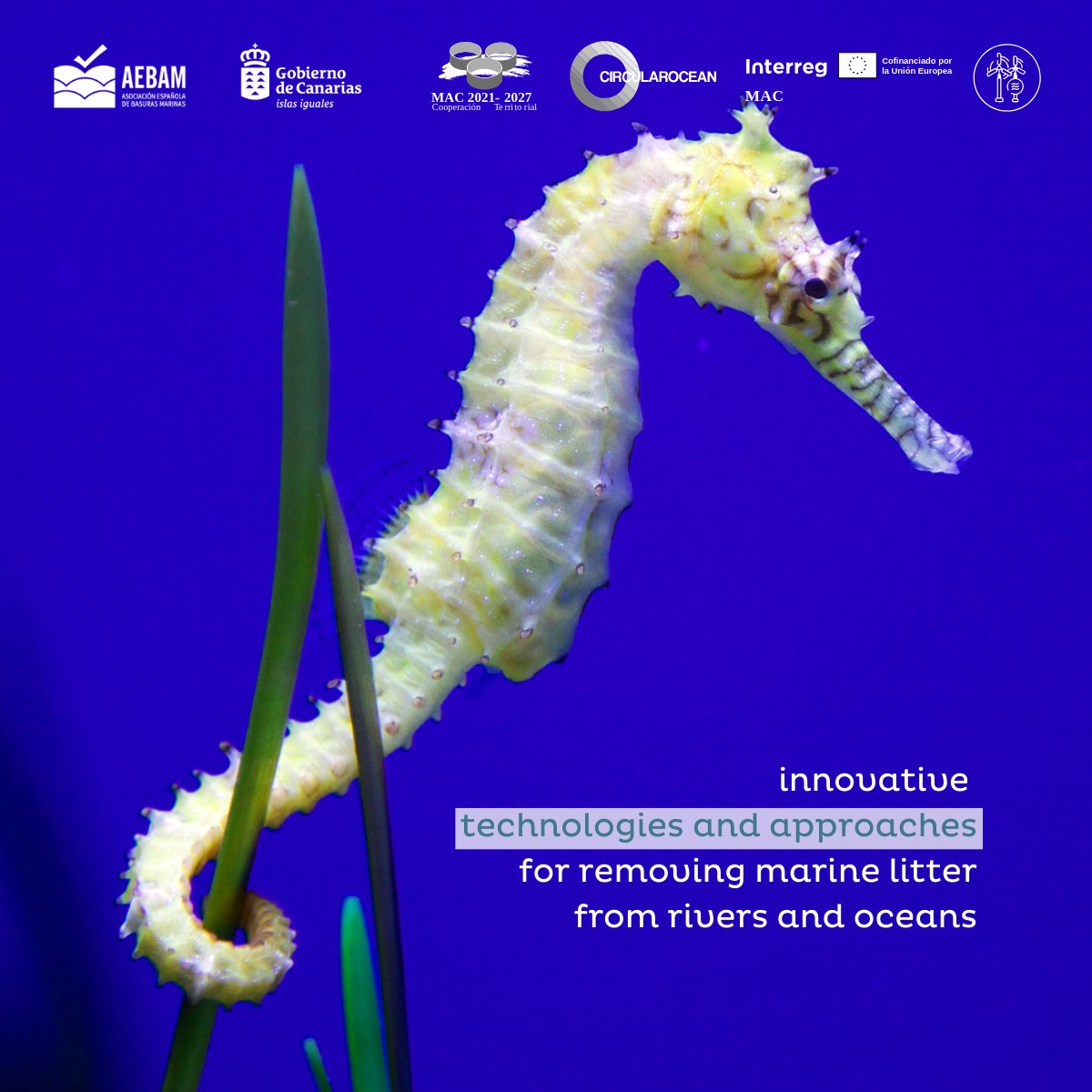 AEBAM Basuras Marinas tweet media