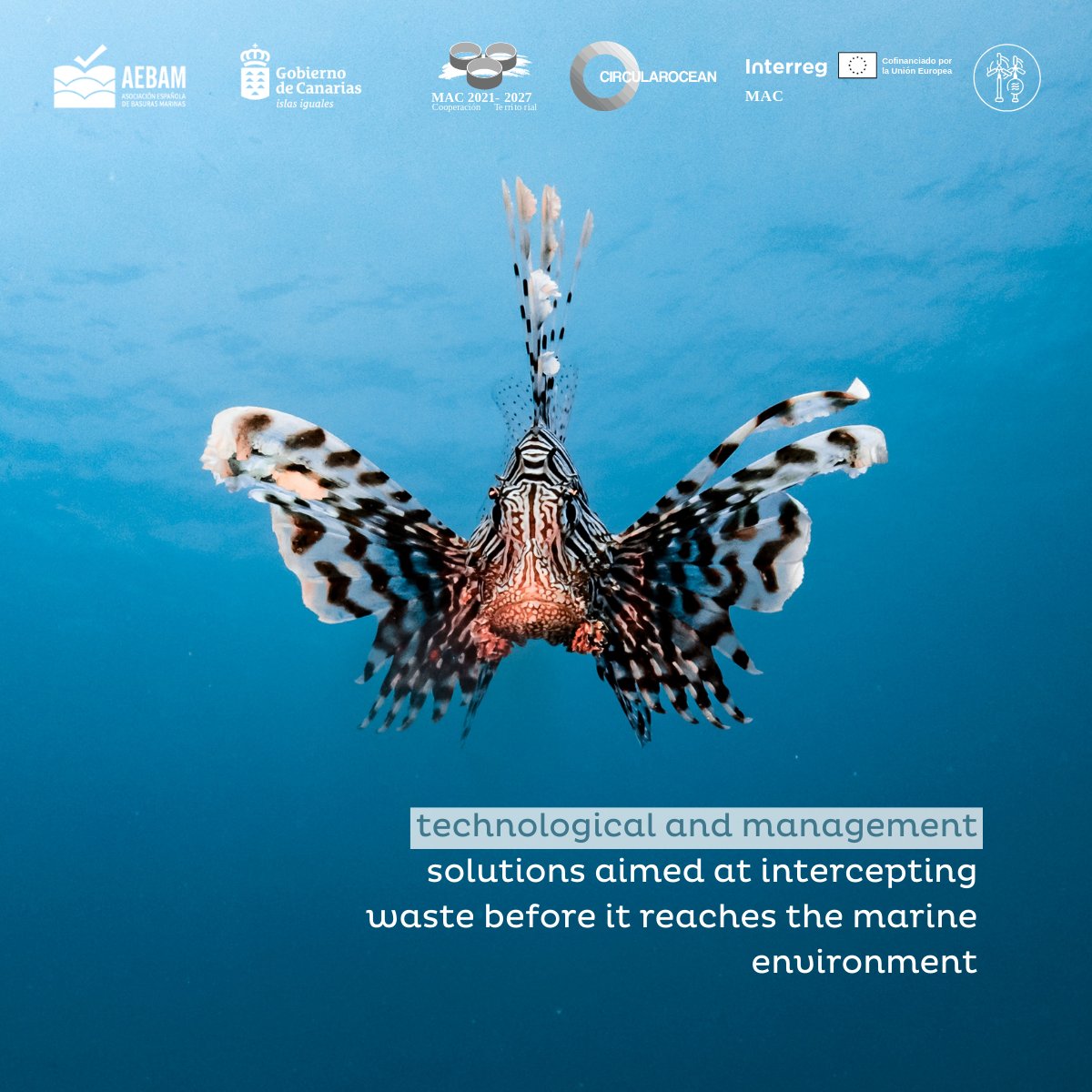 AEBAM Basuras Marinas tweet media