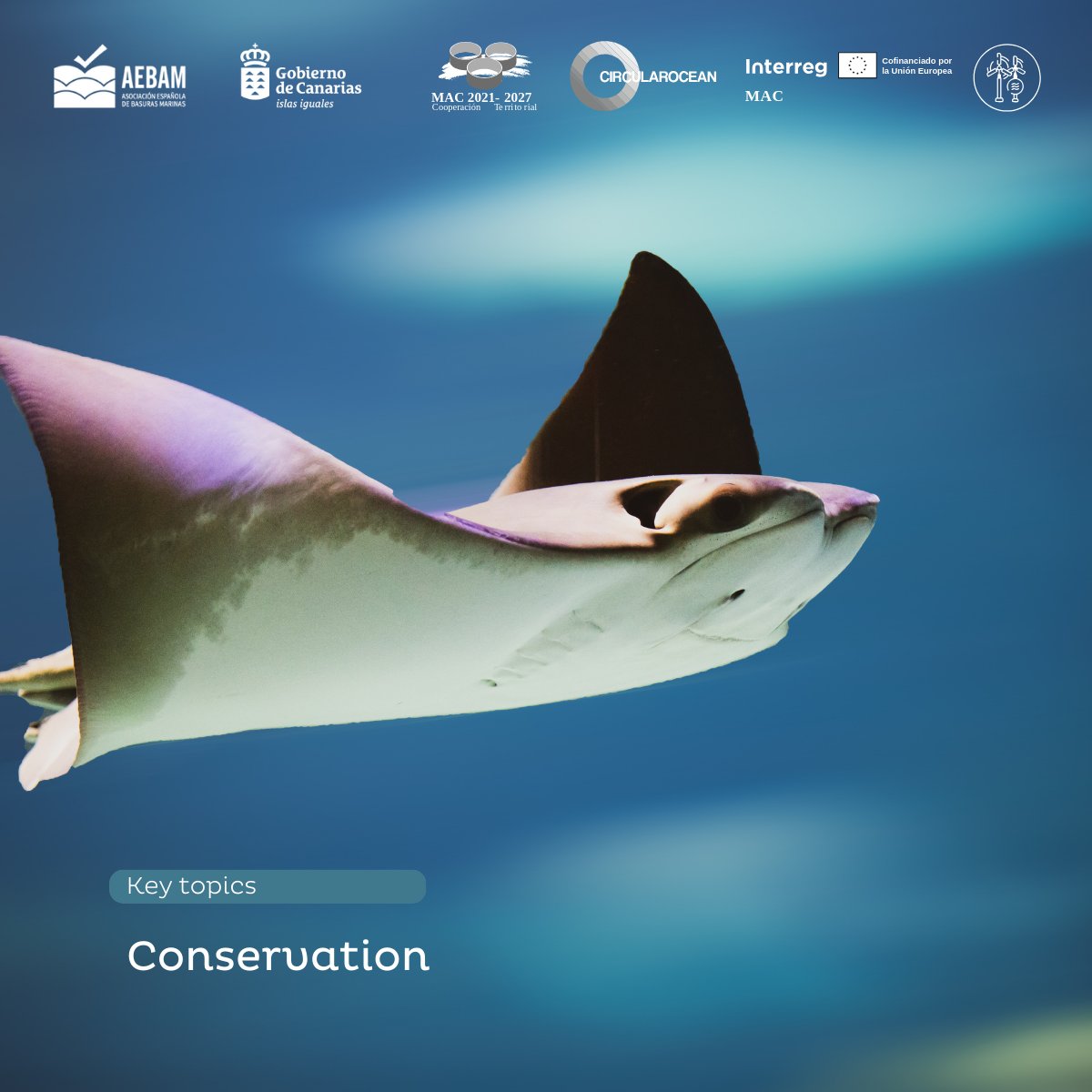 AEBAM Basuras Marinas tweet media