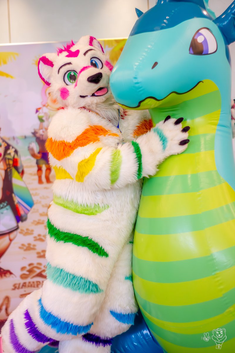 MungMingTiger ➡️ ThaiTails2026🇹🇭 tweet media