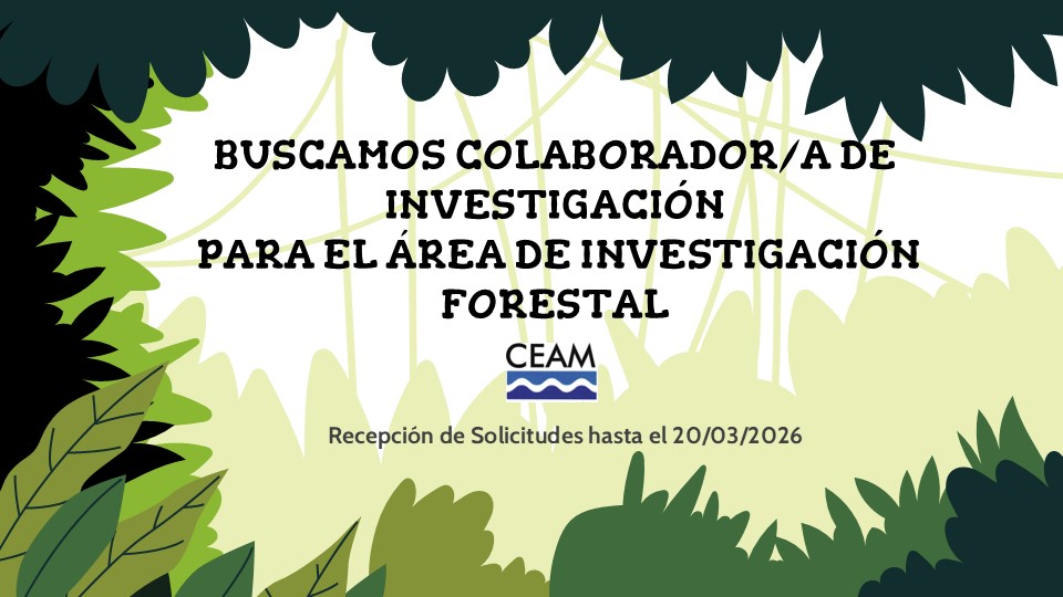 Fundación CEAM tweet media