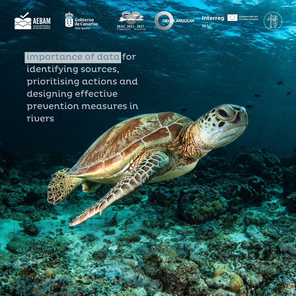 AEBAM Basuras Marinas tweet media