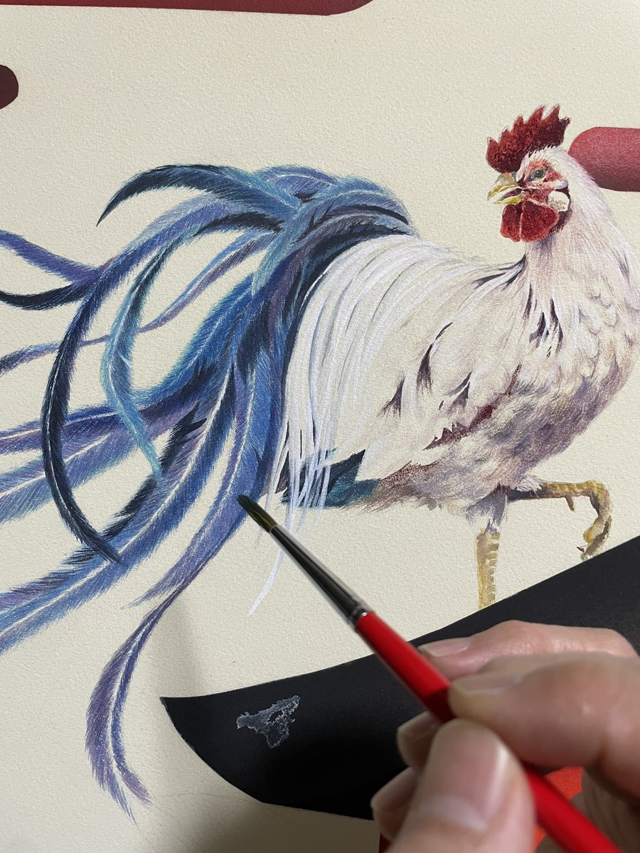 日本画家しております。 新作は、尾長鶏です。 めっちゃ羽根描かなあかん💦