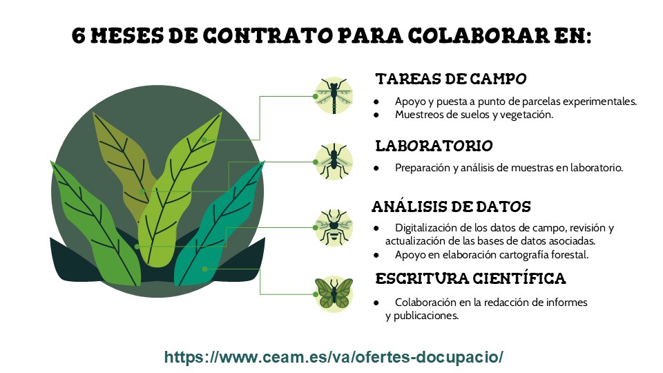 Fundación CEAM tweet media