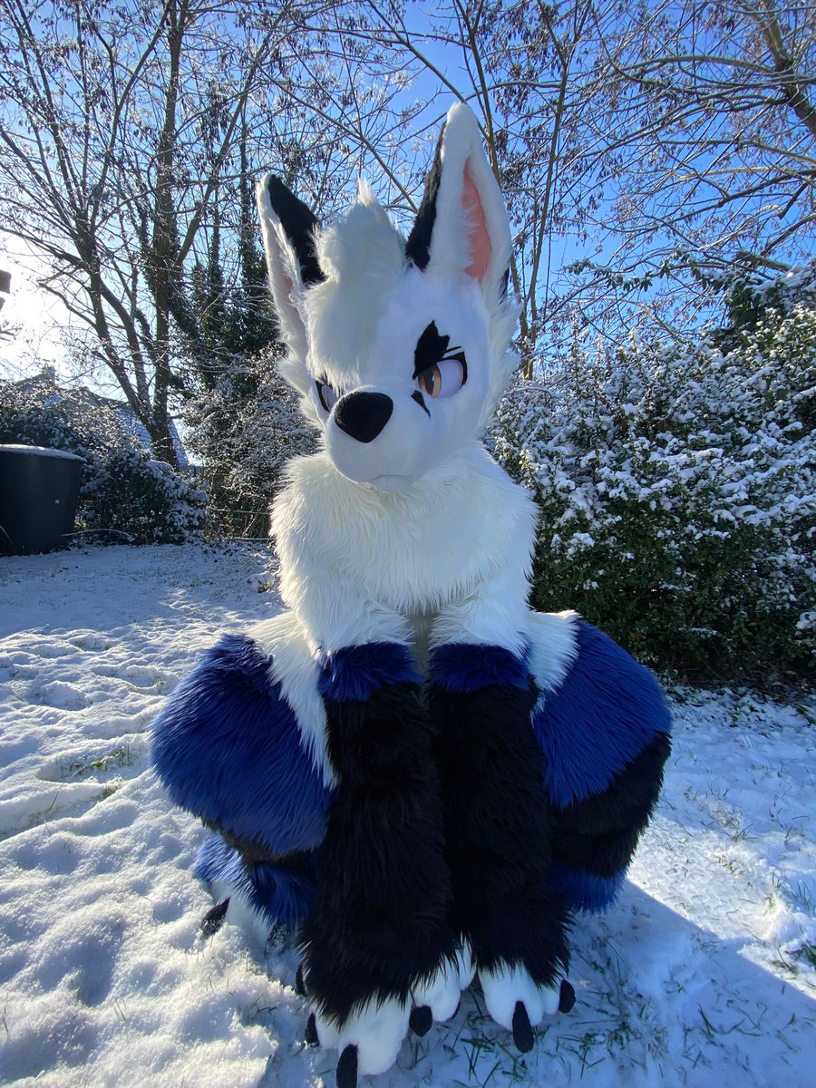 Pixus 🥐 tweet media