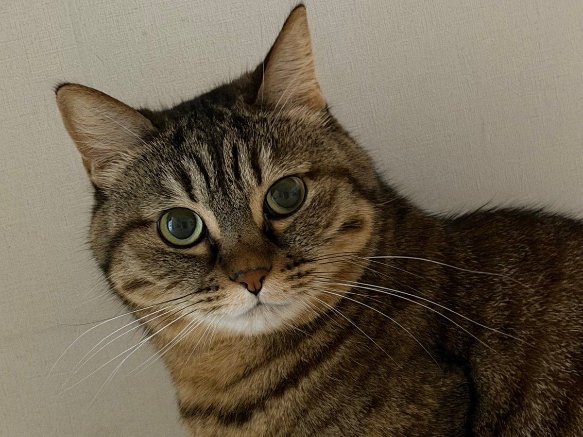 동그란 김방울🫧 tweet media