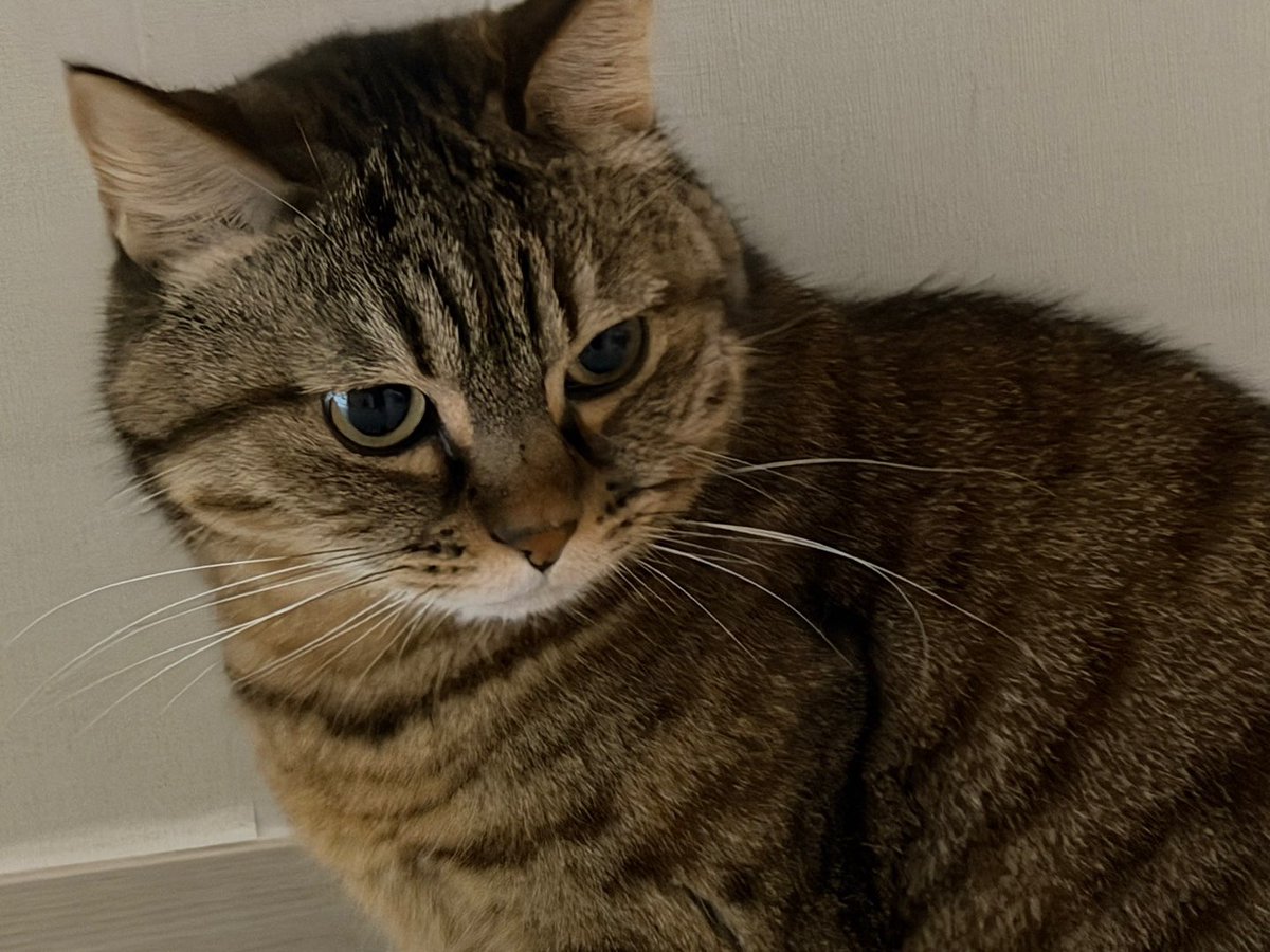 동그란 김방울🫧 tweet media