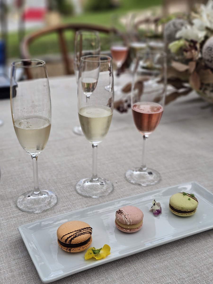 Get In My Belly | Kaylee Folster tweet media